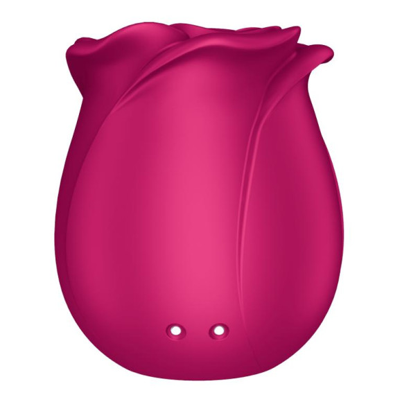 Малиновый вакуум-волновой стимулятор Pro 2 Classic Blossom Малиновый вакуум-волновой стимулятор Pro 2 Classic Blossom