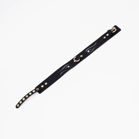 Черный кожаный ошейник с золотистой фурнитурой Черный кожаный ошейник с золотистой фурнитурой