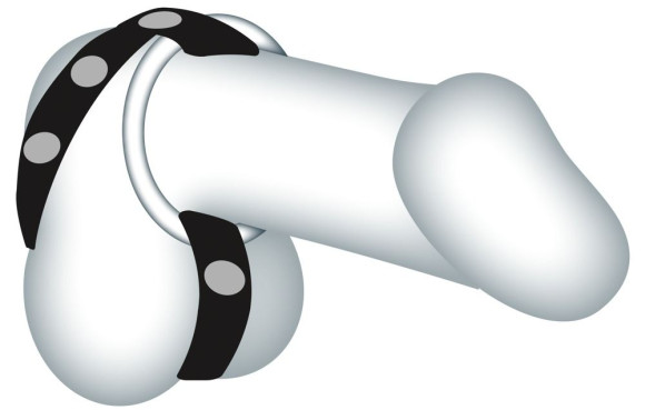 Подхват для мошонки с 3 съемными эрекционными кольцами Leder-Riemen Подхват для мошонки с 3 съемными эрекционными кольцами Leder-Riemen