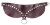 Бордовый широкий ошейник Wide Collar Maroon