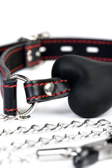 Черный кляп-трензель Theatre в виде косточки с зажимами для сосков Черный кляп-трензель Theatre в виде косточки с зажимами для сосков