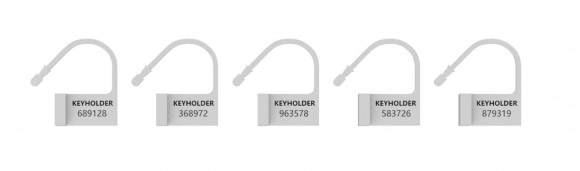 Набор запасных замков для пояса верности из 5 штук с ключиками Набор запасных замков для пояса верности из 5 штук с ключиками