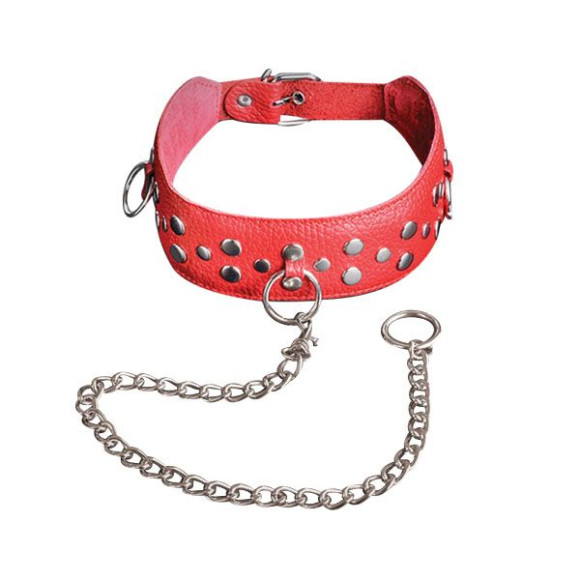 Красный кожаный ошейник с карабином и поводком Красный кожаный ошейник с карабином и поводком