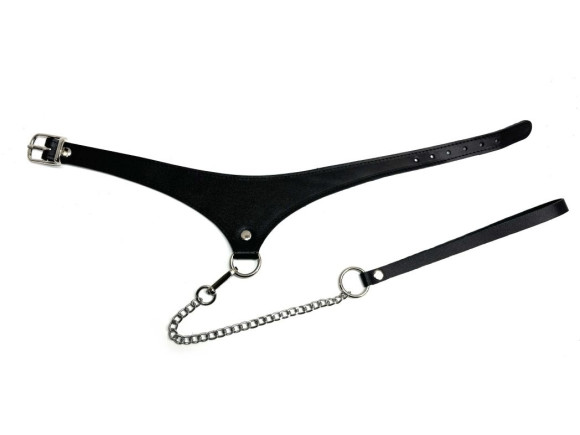 Черный кожаный ошейник Black Phoenix с поводком Черный кожаный ошейник Black Phoenix с поводком