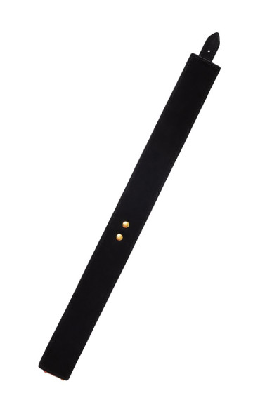 Красный ошейник из лакированного материала Красный ошейник из лакированного материала