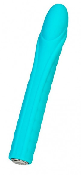 Бирюзовый вибратор Nalone Dixie - 16,7 см.