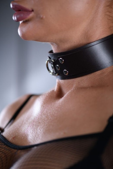 Коричневый ошейник Sex Game с поводком Коричневый ошейник Sex Game с поводком
